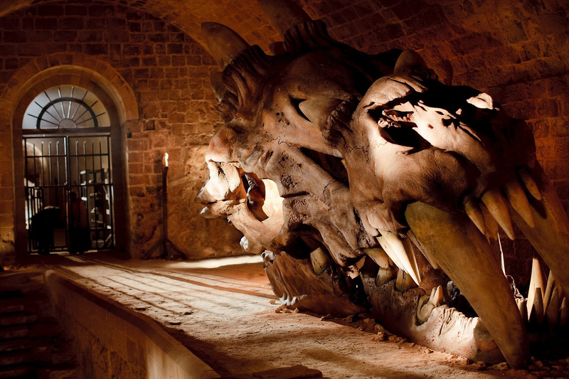 Un cráneo de dragón oculto en King´s Landing. Imagen: HBO